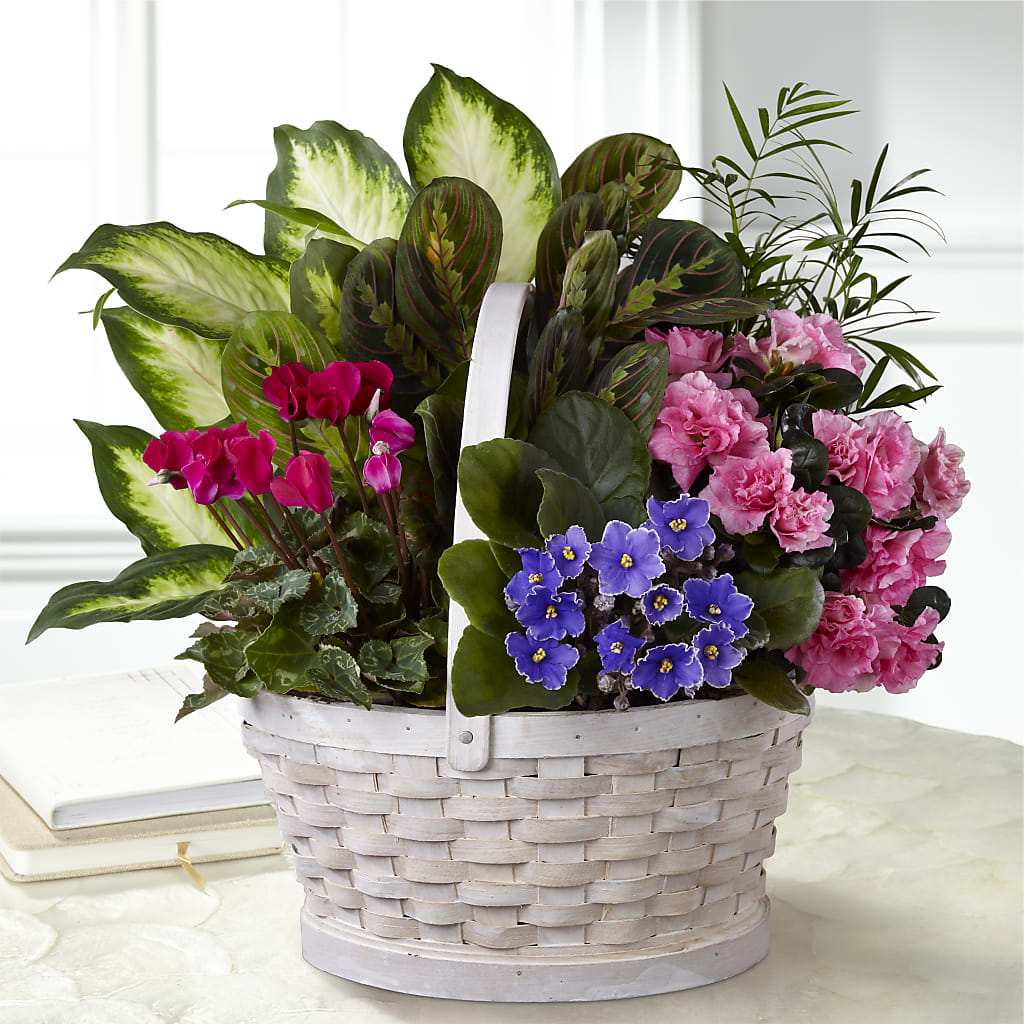 Peaceful Garden Planter – Everbloom, Murfreesboro TN