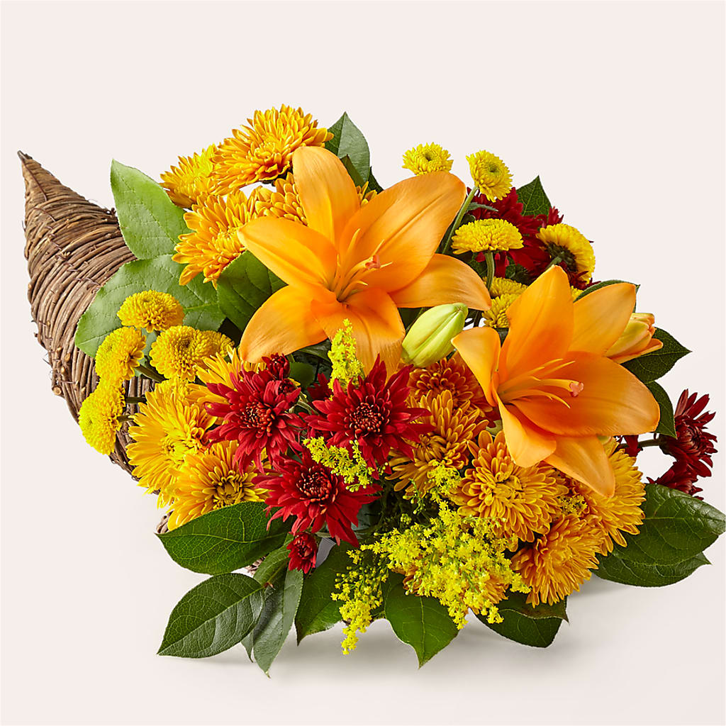 Feast of Color Cornucopia – Everbloom, Murfreesboro TN