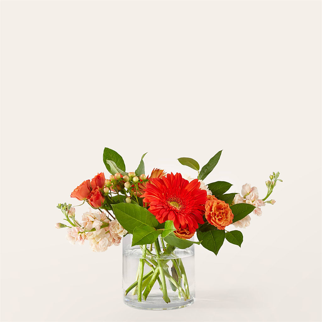 Paloma Please Bouquet – Everbloom, Murfreesboro TN
