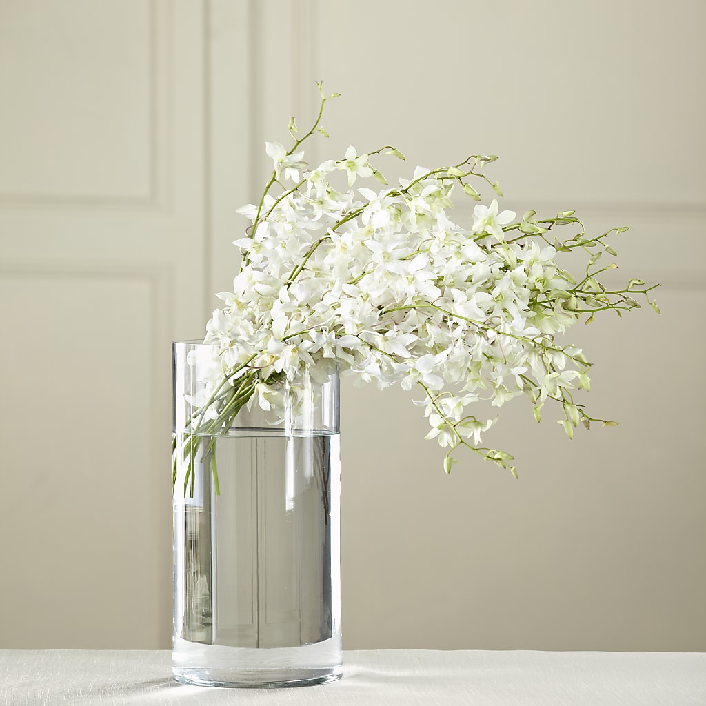 White Dendrobium Bouquet – Everbloom, Murfreesboro TN