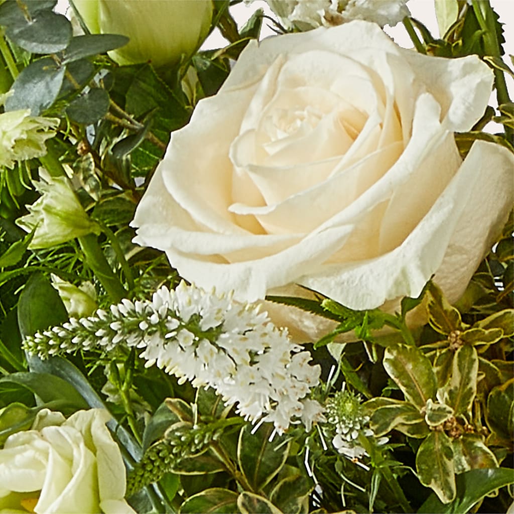 Cashmere Bouquet –  Everbloom, Murfreesboro TN