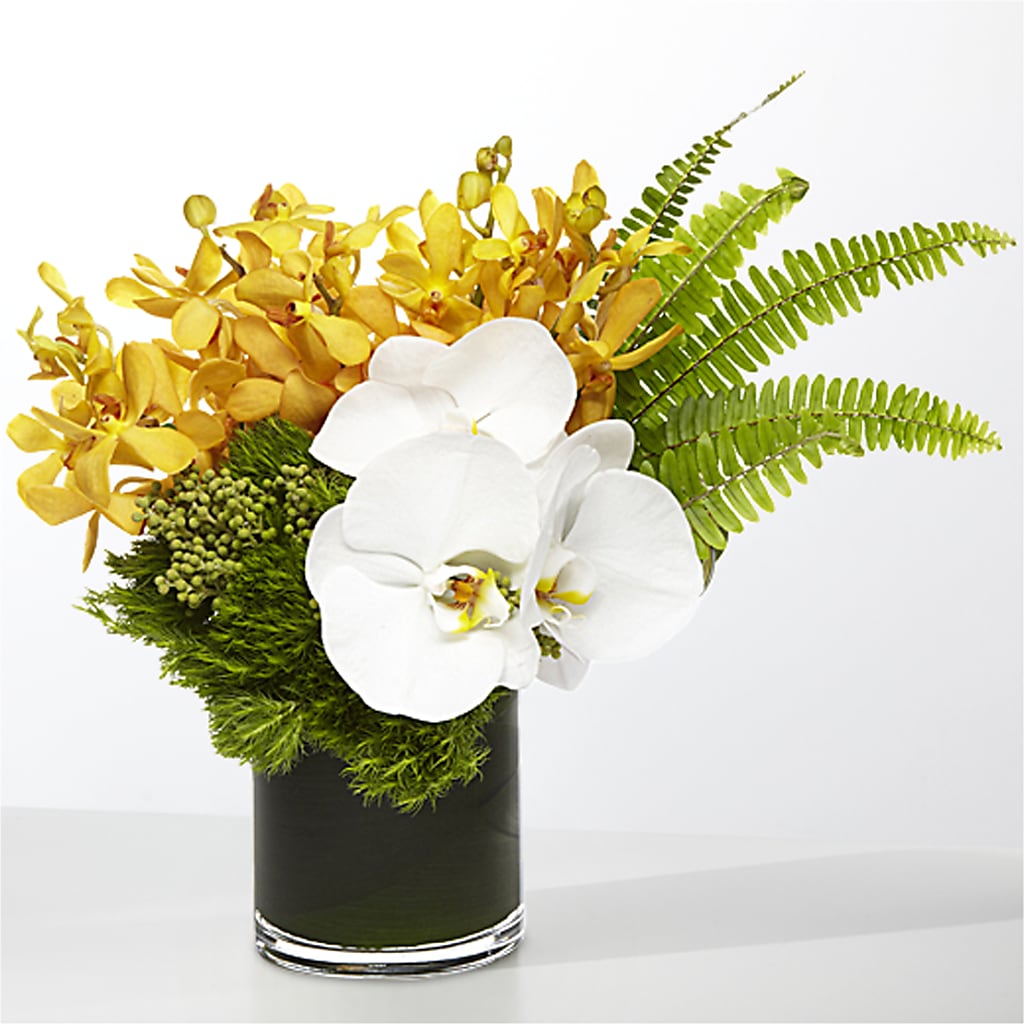 The Tropics –  Everbloom, Murfreesboro TN
