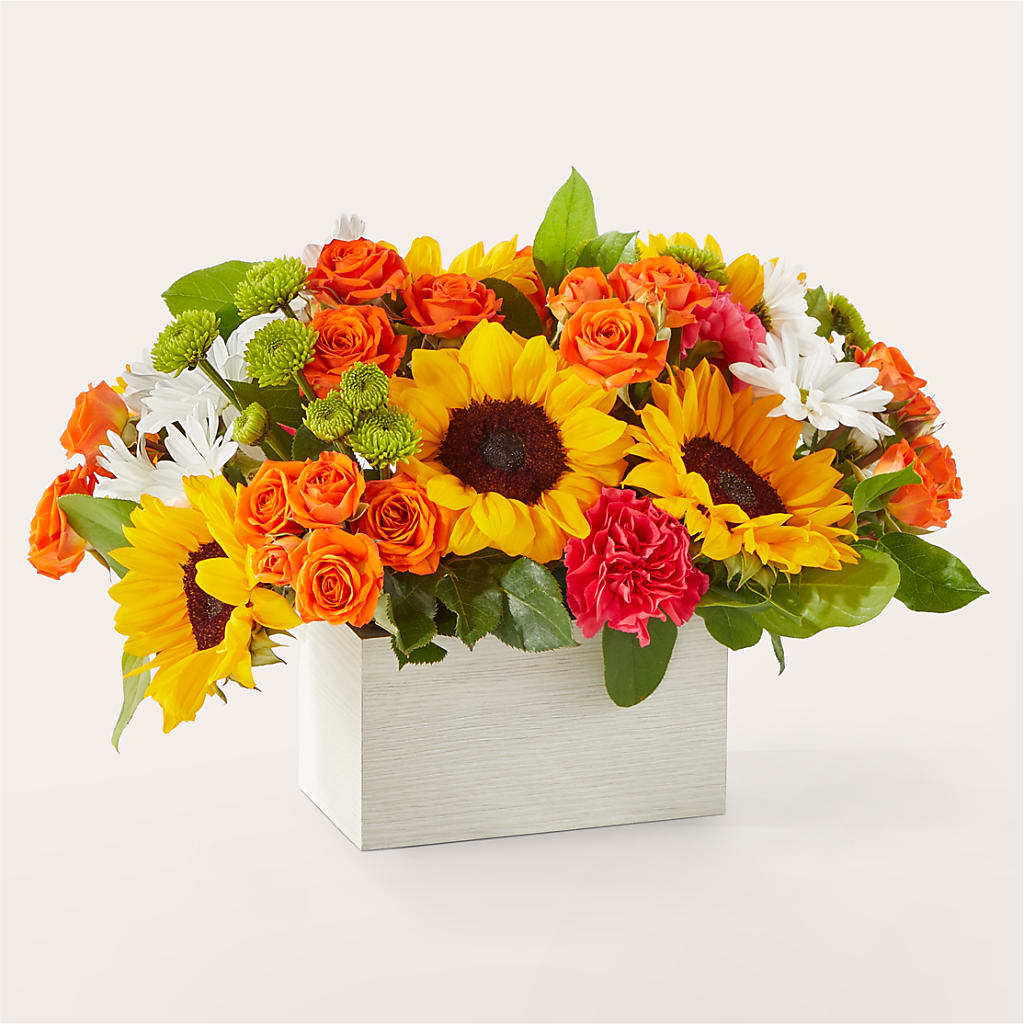 Sun-drenched Blooms Box Bouquet –  Everbloom, Murfreesboro TN