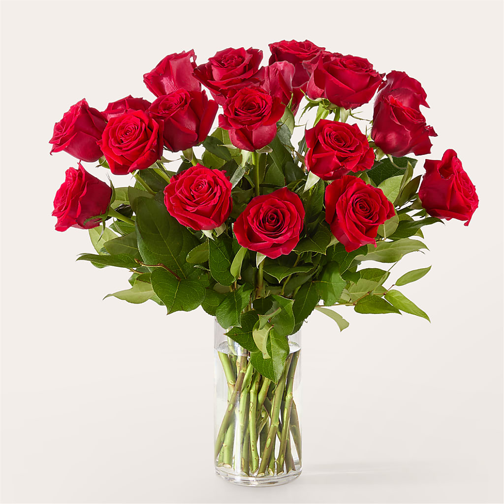 The One Red Rose Bouquet –  Everbloom, Murfreesboro TN