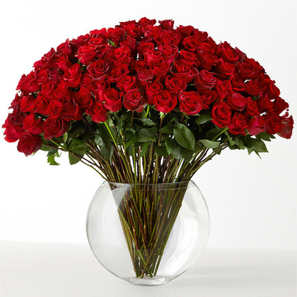 The Idealist –  Everbloom, Murfreesboro TN